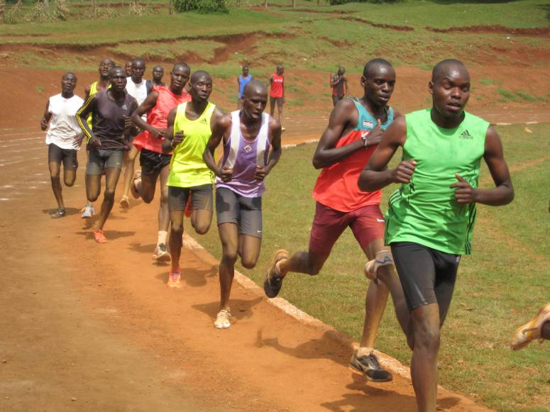 Tilling the field of Kamarini