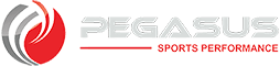 pegasus-logo