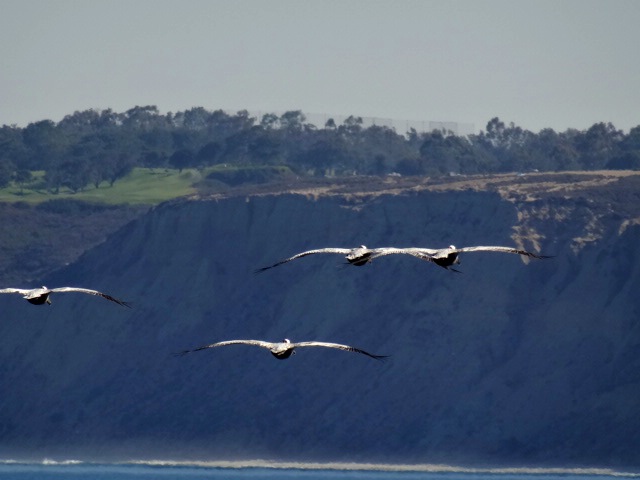 Heading toward Torrey Pines Cliffs
