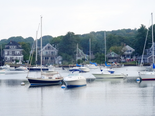 Woods Hole harbor race morning
