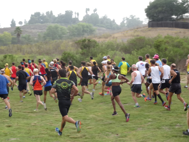 Toya off and Running