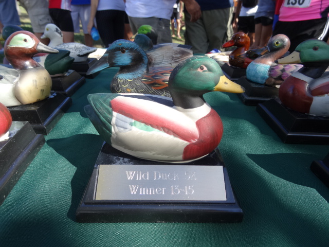 All-Duck Trophies