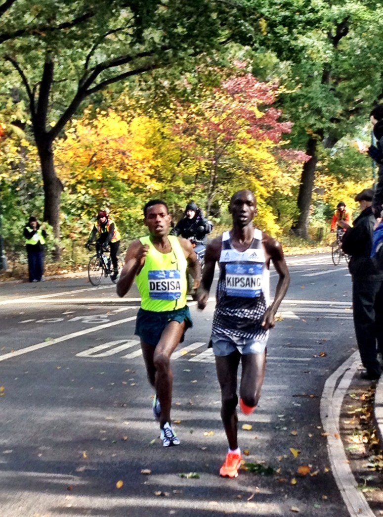The battle engaged in Central Park
